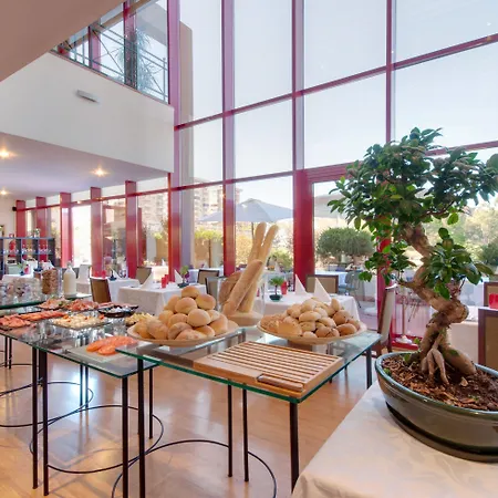 Aeminium, Affiliated By Melia كويمبرا